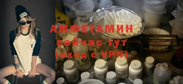 сатива Абаза