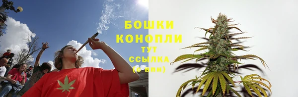 сатива Абаза