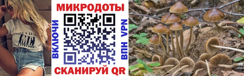 Галлюциногенные грибы Magic Shrooms  Яхрома 