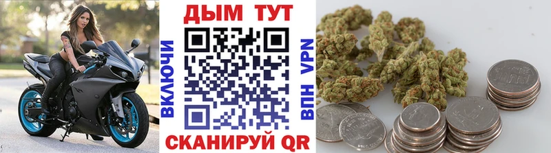 Бошки марихуана Ganja Яхрома